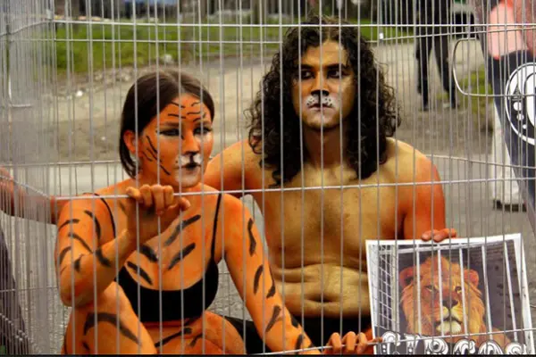 As ONGS protetoras condenam o tratamento que os animais recebem nos circos e zoológicos. (Foto: Wild Animal Sanctuary/PETA)