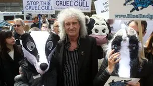 A estrela do rock Brian May estava entre os ativistas contra a matança de texugos no centro de Londres. (Foto: BBC)