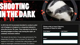 Defensores dos direitos animais contam com a Internet para propagar sua mensagem. (Foto: BBC)