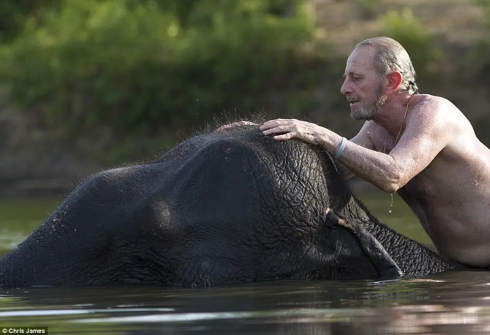 Mark Shand ficou chocado quando soube sobre a destruição da população de elefantes de Sumatra -  Foto: Divulgação/Daily Mail