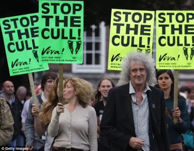 Brian May lidera ativistas contra matança de texugos no Reino Unido. Foto: Daily Mail