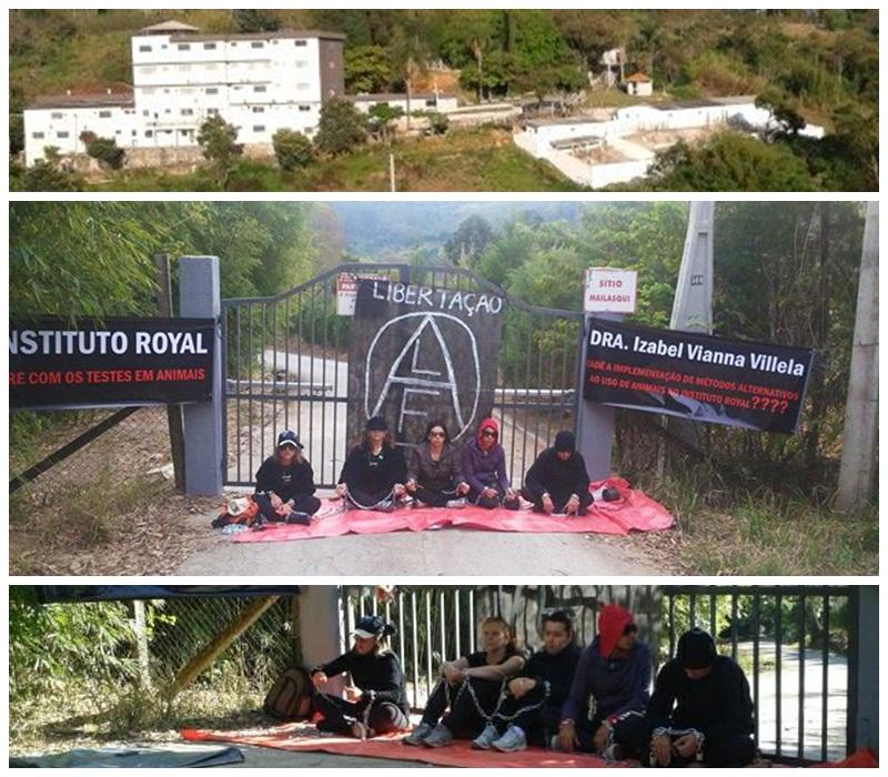 Foto: Reprodução Site Camaleao.org