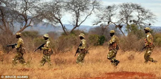 Perigo: 60 rangers quenianos foram mortos por caçadores. Tropas britânicas vão passar as próximas semanas treinando-os.