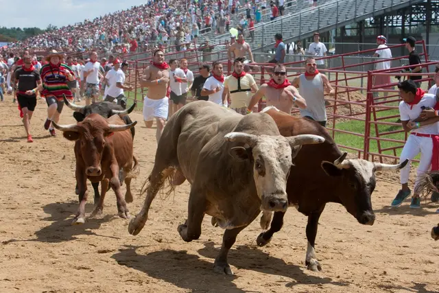 Foto: Great Bull Run