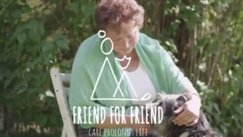 "Friend for friend", campanha para adoção de cães abandonados na Rússia