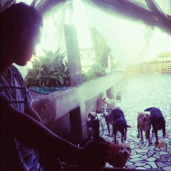 O protetor Markinhos Perez e alguns dos cães que serão beneficiados com a renda arrecadada no Bazar.