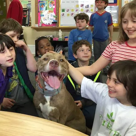 As crianças adoram o pit bull. (Foto: Reprodução / Facebook) 