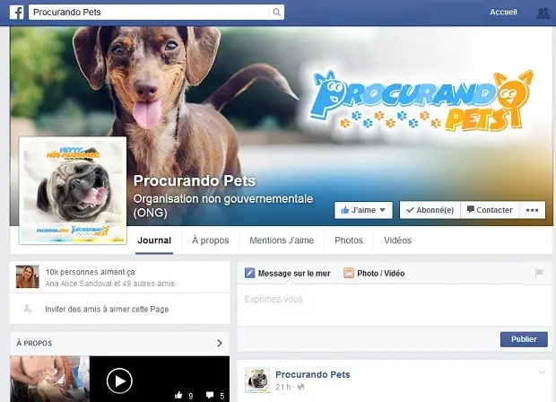 Página Procurando pets, que funciona em rede social e ajuda donos a encontrar animais domésticos perdidos (Foto: Facebook/Divulgação)