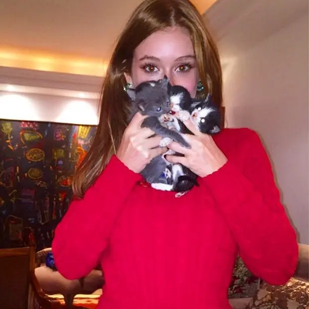 Marina Ruy Barbosa pede ajuda para adoção de gatinhos