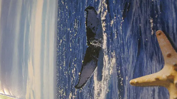 Baleias fazem o show no litoral brasileiro, para fugir das águas gélidas da Antártida (foto: Dayse Regina Ferreira)