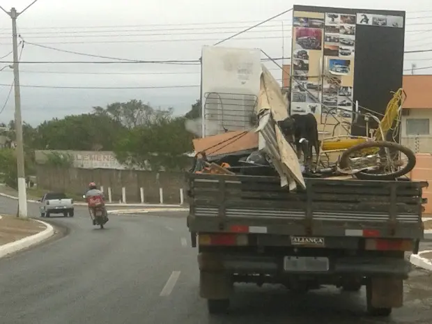 Cão foi transportado sem proteção sobre móveis em carroceria de caminhão de mudança em Cuiabá. (Foto: Yara Yoko Pinto Coelho / Arquivo Pessoal)