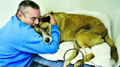 Mark Woodbury salvou a vida de seu cachorro Ditch. (Foto: Reprodução / The Dodo) 