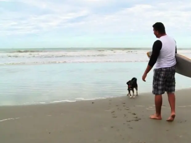 Cão 'implora' que o tutor o leve para surfar (Foto: Reprodução / TV Tribuna)