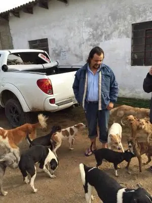 José resgatou dezenas de cães durante cheia em Alvorada (Foto: Nelson Fernandes/Arquivo Pessoal)