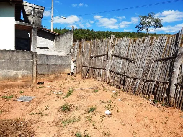 Cachorro é encontrado enforcado e pendurado em arame em Oliveira (Foto: Rádio Nossa FM/Divulgação)