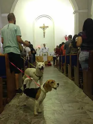 Tutores e animais assistiram à missa na Capela de São Roque (Foto: Letícia Duarte/G1)