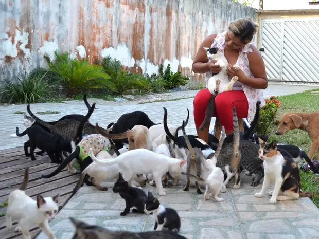 Geiza Albuquerque dedica-se ao trabalho de cuidar de cães e gatos (Foto: Fabiana Figueiredo/G1)