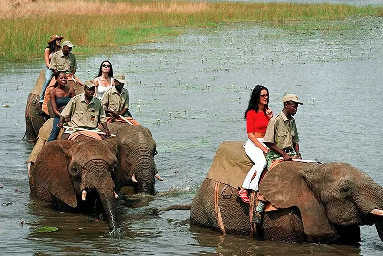 Passeios em elefantes no Zâmbia. (Foto: Peter Morey/AFP/Getty Images)