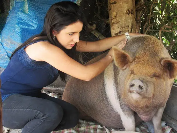 A estudante Luciana Moulin com a porca Puca, de 160 kg (Foto: Isabella Calzolari/G1)