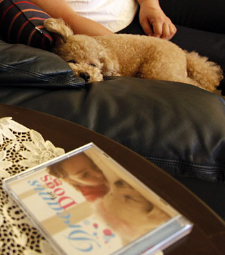 Poodle relaxa ao som de CD feito especialmente para cães. (Foto: Shizuo Kambayashi/AP)