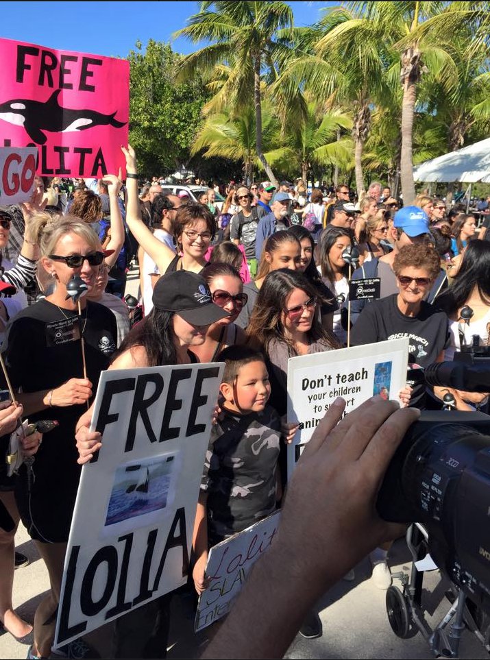 "Miracle March for Lolita", em Miami, para libertar a orca Lolita do Miami Seaquarium. Foto: Christina Estrada
