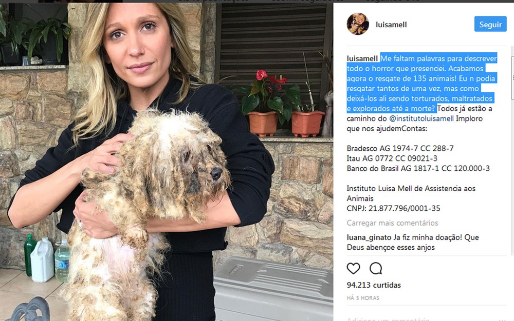 Ativista e protetora de anima, Luisa Mell, resgata 135 cães de maus-tratos em Osasco 