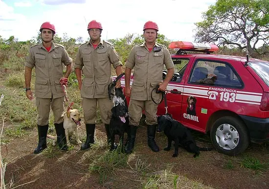Cães do Corpo de Bombeiros de Goiás vão integrar missão de salvamento enviada pelo Brasil ao Haiti. (Foto: Divulgação/Folha)
