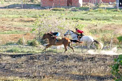 Corrida de cavalos nas margens da CE-090. (Foto: Diário do Nordeste)