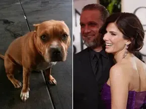 Sandra Bullock e seu marido, Jesse James, e o cachorrinho do casal (Foto: Reprodução/Ego)