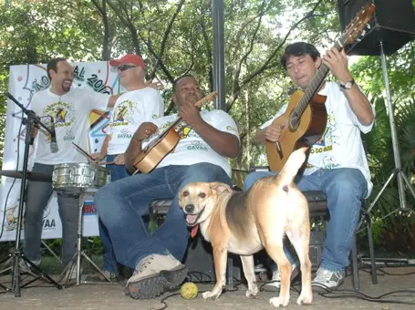 Uma banda com sete integrantes embalava a marchinha feita em homenagem ao cão (Foto: Augusto de Paiva/AAN)