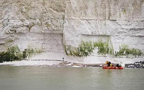 Um bote foi usado para resgatar a cadela (Foto: Telegraph)