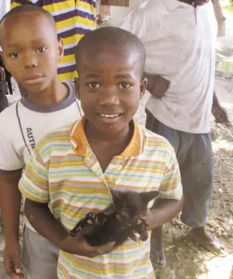 Um garoto do Haiti segura um filhote (Foto: Bill Tanguay/ Animal Rescue League of Boston)