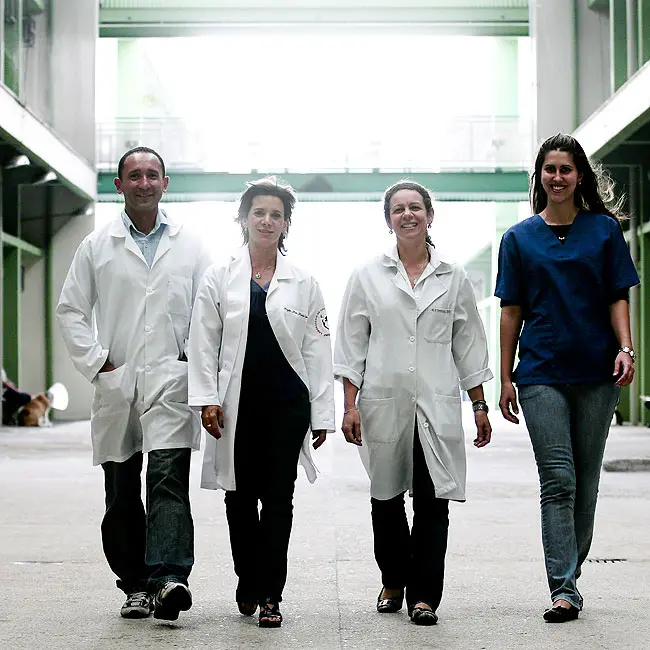 Equipe médica: Edvaldo Rodrigues, Denise Fantoni, Teresinha Martins e Daniella Godoi nos corredores do Hospital Veterinário da USP (Foto: Época)