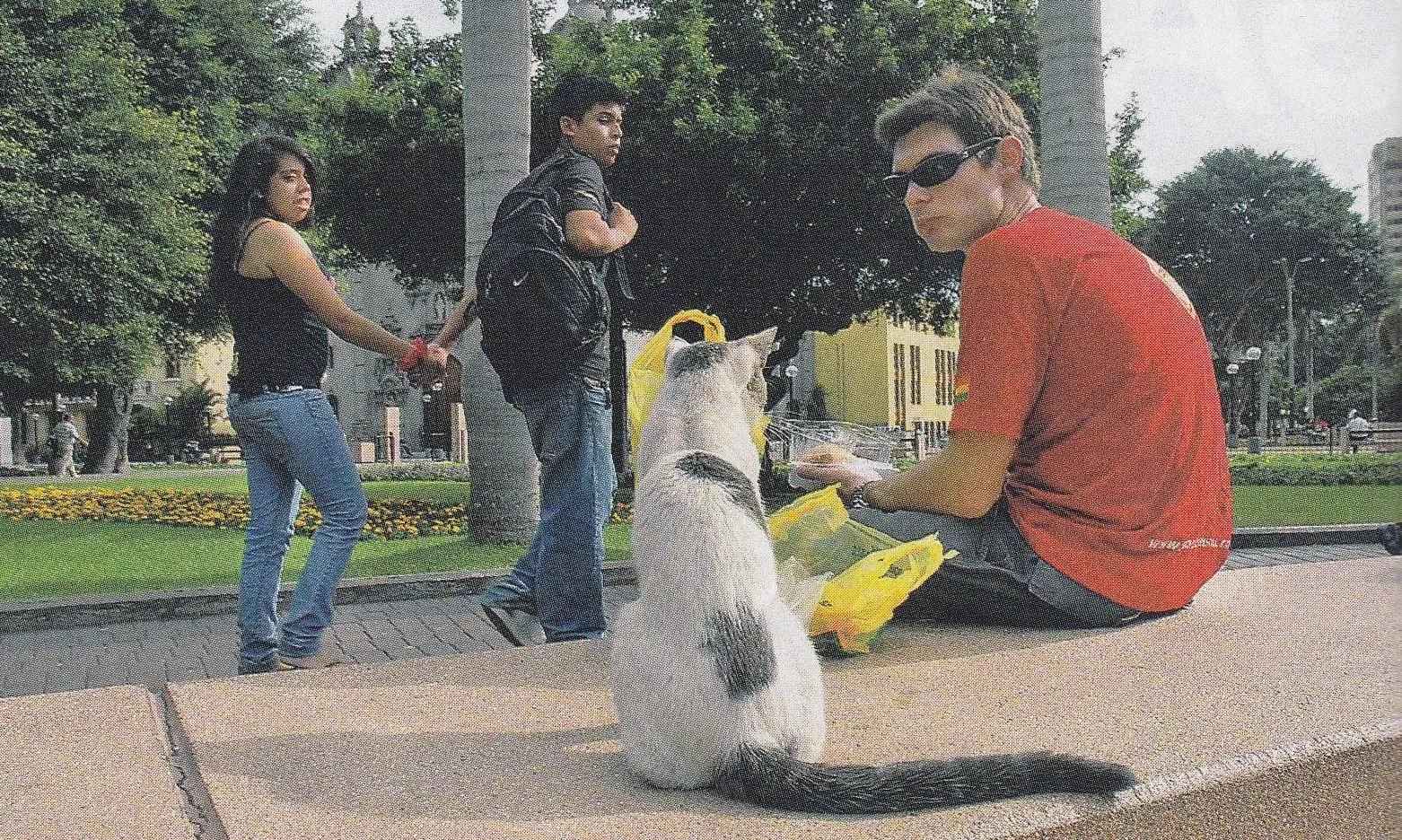 foto de um gato que habita o parque, sentado ao lado de um visitante