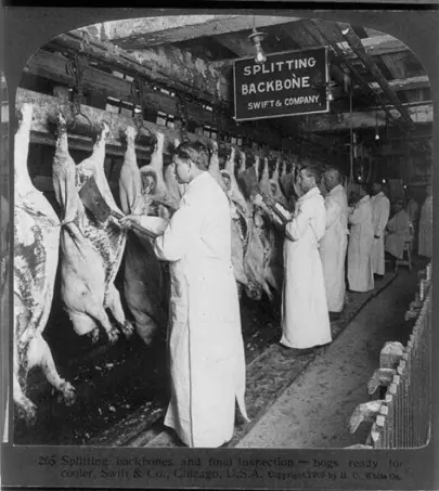 foto de inspetores num matadouro de animais para consumo humano, em 1906