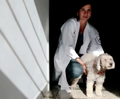 A veterinária Denise Fantoni com Johnny. O cão tem metástase de um câncer
