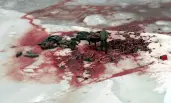 imagem de uma enorme mancha de sangue causada pela matança de bebês focas