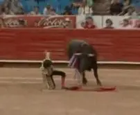 touro reage às agressões de michelito na arena