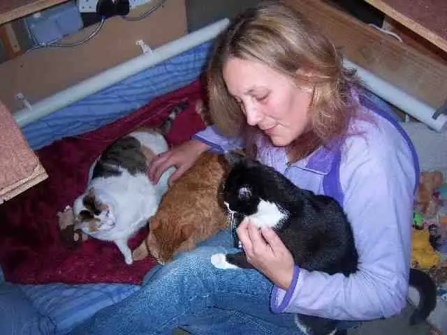 A ex-soldado Louise Hastie ficou conhecida como “Baghdad Cat Lady” [Senhora dos Gatos de Bagdá] após adotar o gato Simba no Iraque e mandá-lo para o Reino Unido, em 2005. (Foto: Divulgação/Nowzad)
