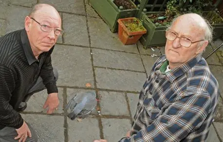 David Woodall (à esquerda), com seu vizinho Donald Blakey, próximos ao corpo de um pássaro que está entre dezenas de animais encontrados mortos em Huntington. (Foto:  The Press)