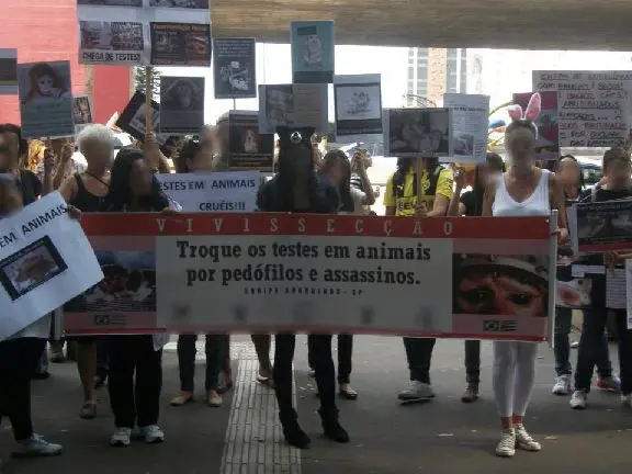 Imagem lamentável de protesto contra vivissecção em São Paulo. Foto: Divulgação