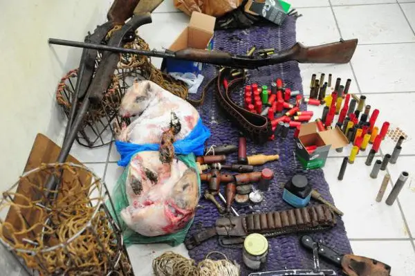 Quatro pessoas foram detidos com armas, munições, armadilhas e animais silvestres Foto: Salmo Duarte / Agencia RBS