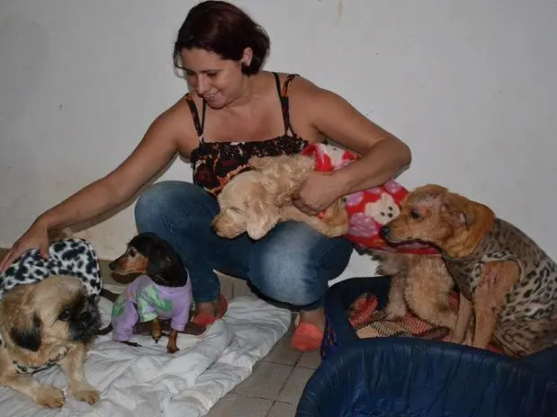 Bórika mostra parte de seus 39 cachorros com os agasalhos doados (Foto: Talita Zaparolli / Terra)