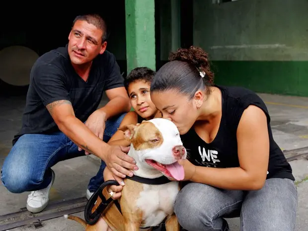 Após 5 meses animal volta para sua família (Foto: Paulo Alvadia/ Agência o Dia/Estadão Conteúdo)