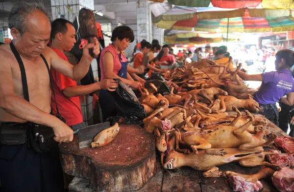 Vendedores chineses vendem carne de cachorro no Mercado livre, na cidade de Yullin, Região Autônoma de Guangxi Zhuang, sul da China, 21 de junho de 2012. (Foto: Imagine China)