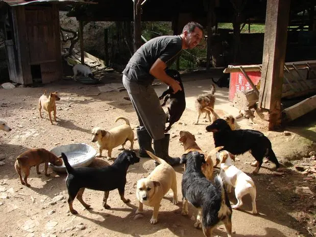 Como “filhos” que são, os cães não estão à venda ou disponíveis para doação - Foto: Jaime Batista da Silva / vc repórter