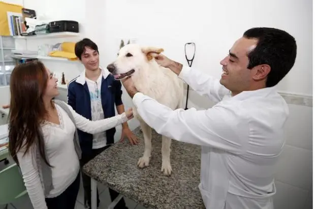 Julia e Thael tiveram a chance de ver o veterinário Diogo examinando uma cadela  (Foto: Alvarélio Kurossu / Agencia RBS)