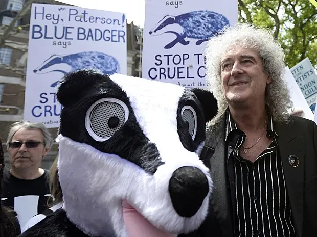 O guitarrista do Queen, Brian May, liderou um protesto contra o sacrifício de texugos, no centro de Londres, no sábado (1º). Ao lado dele, um mascote do animal participou da manifestação (Foto: Dylan Martinez/Reuters)