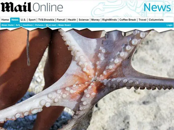 Grego registrou imagens do raro polvo de seis tentáculos antes de comê-lo. (Foto: Daily Mail / Reprodução)