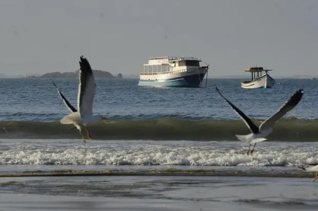 Empresa tem embarcação de turismo de baleias parada à margem da praia, em Garopaba (Foto: Agencia RBS)